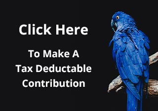 Click Here to Make A Tax Deductible Contribution